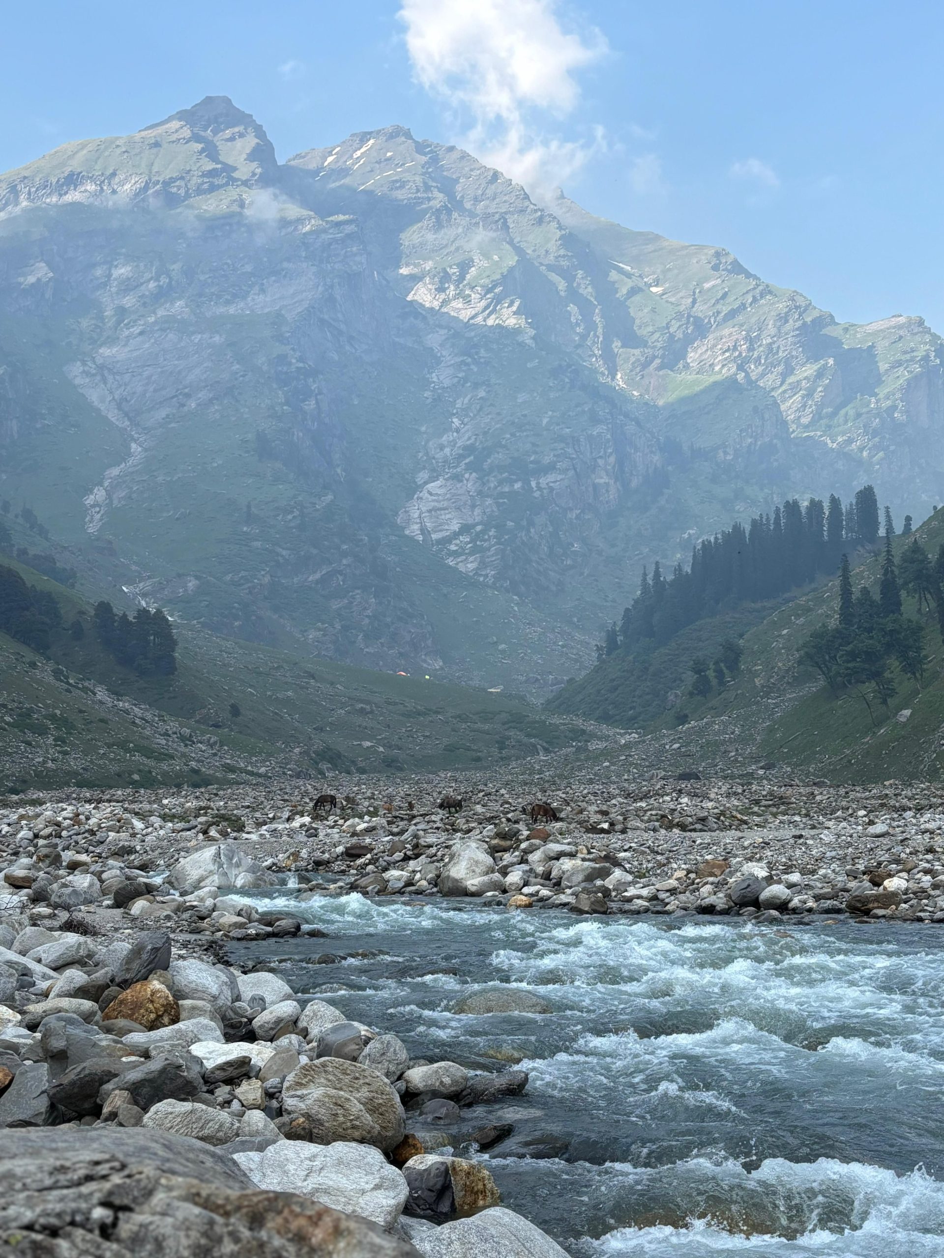 Scenic mountain valley view near Manali, Himachal Pradesh Wanderwise travel agency in India